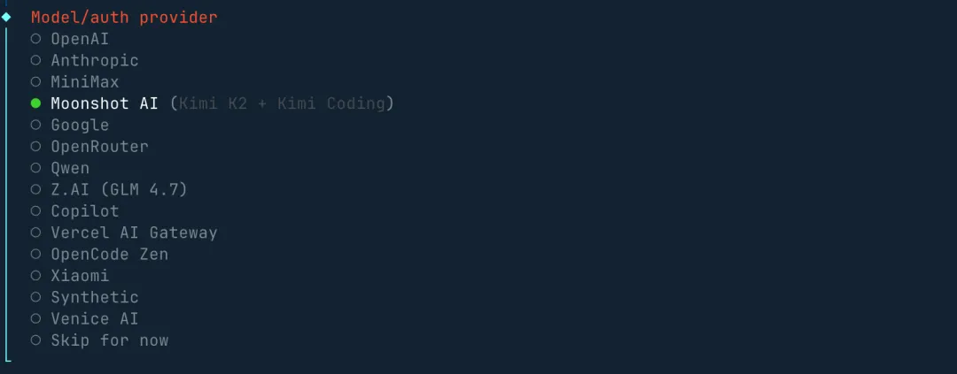 安装向导 - 选择AI模型供应商